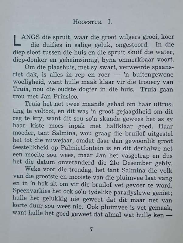 Via Dolorosa - Sannie Visser (Hard cover with no dj)