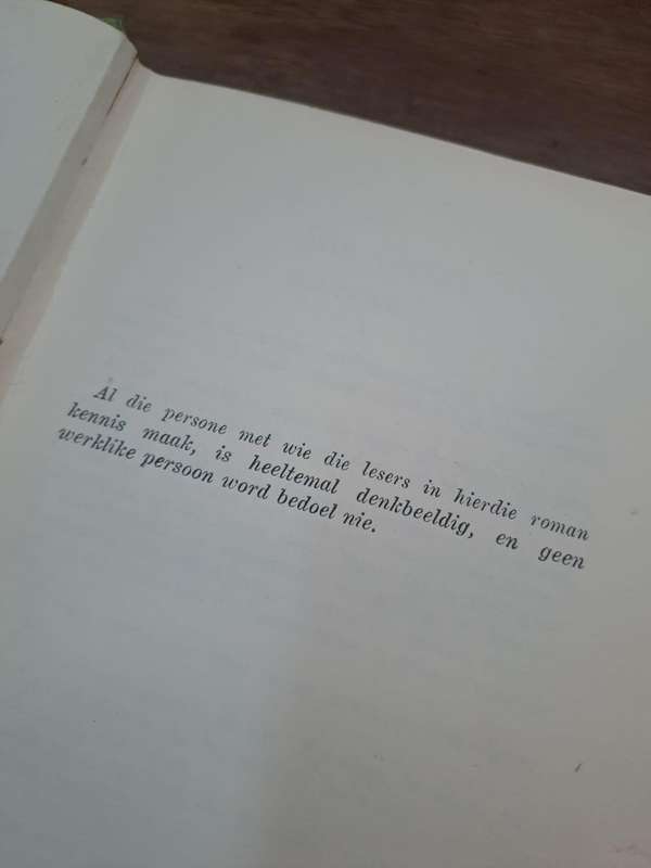 Die berg - J. R. L. van Bruggen kleinjan (Hard cover with no dj)