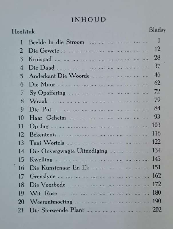 Beelde in die stroom - C.M. van den Heever (Hard cover with no dj)