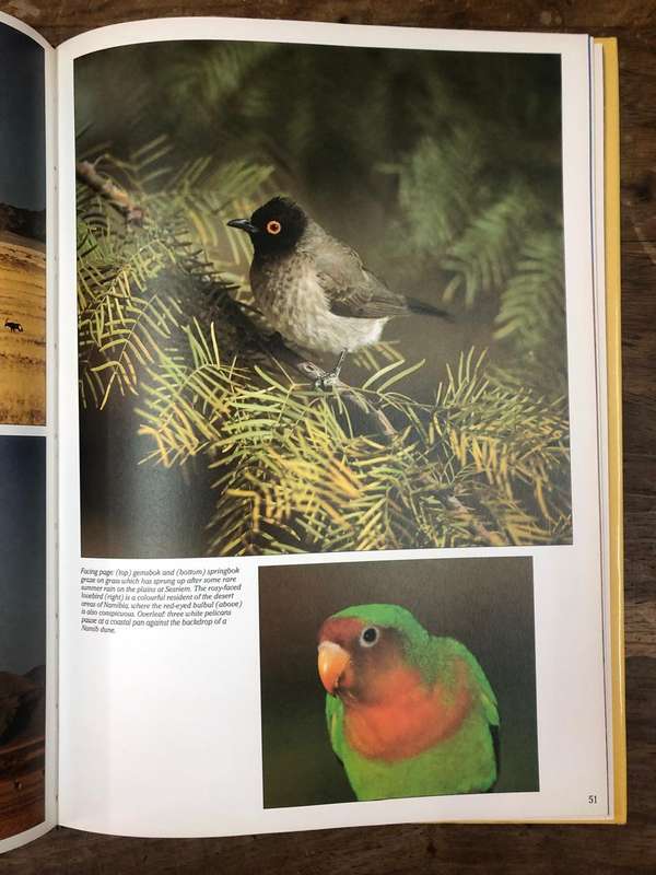 Wildlife of South Africa - David Steele (Hardcover book with dj)