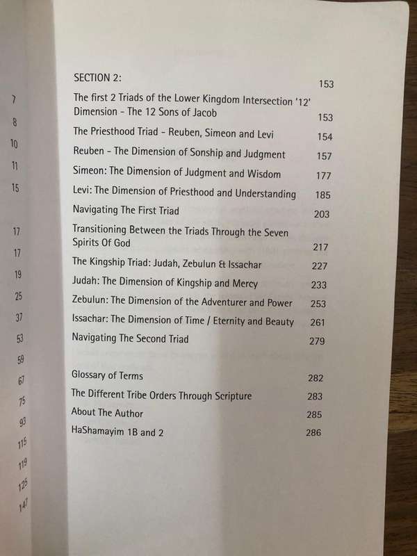 Hashamayim 1A - Dr Adonijah Ogbonnaya (Paperback)