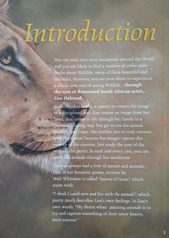 "Out of the Meek, comes the Wild" - David Elliot Wien (Hardcover with DJ)
