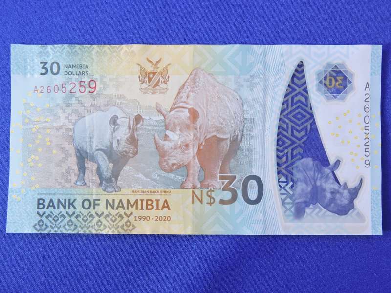 Bank of Namibia  $30 Thirty Dollar Bank note in circulated condition.