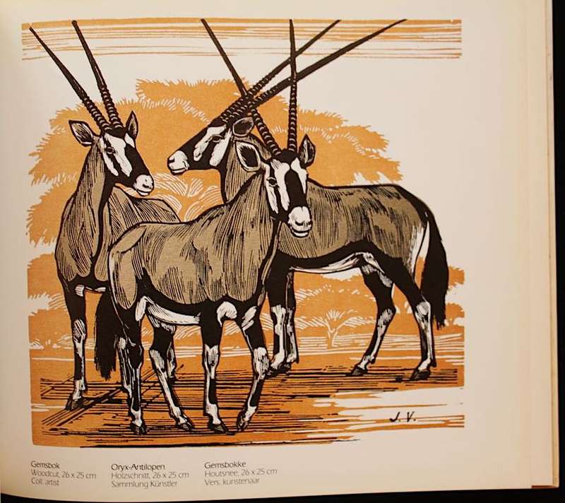 ANIMAL ART OF ETOSHA (1986)