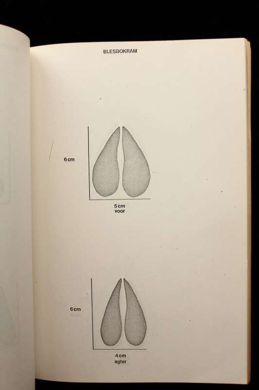 HANDLEIDING VIR BEROEPSJAGTERS EN JAGONDERNEMERS - W.K. KETTLITZ