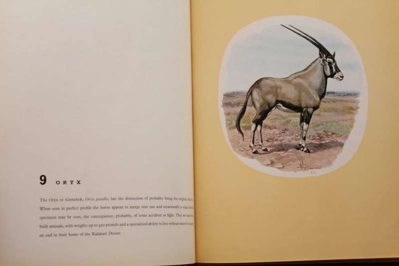 CALDWELL'S ANIMALS - WILLIAM FEHR (1962)