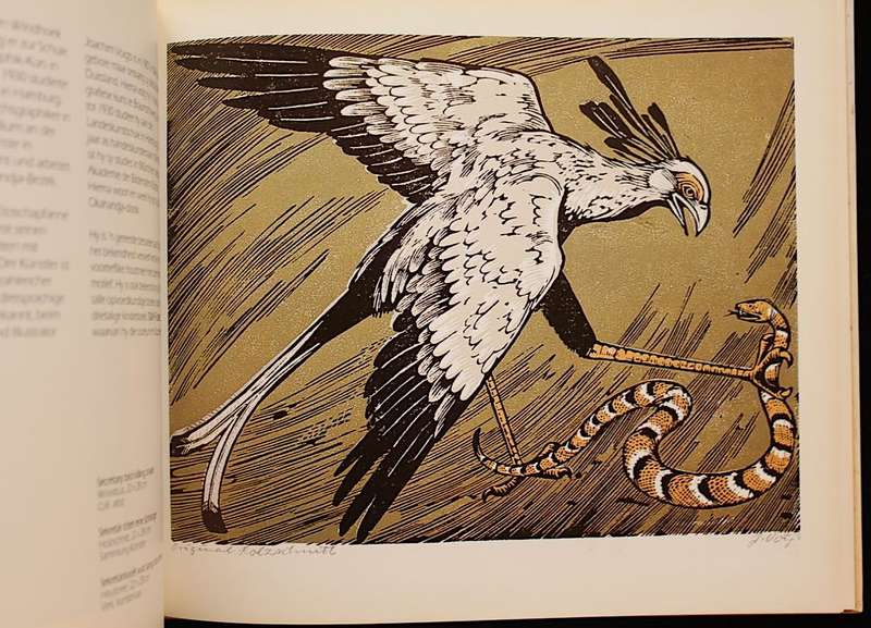 ANIMAL ART OF ETOSHA (1986)