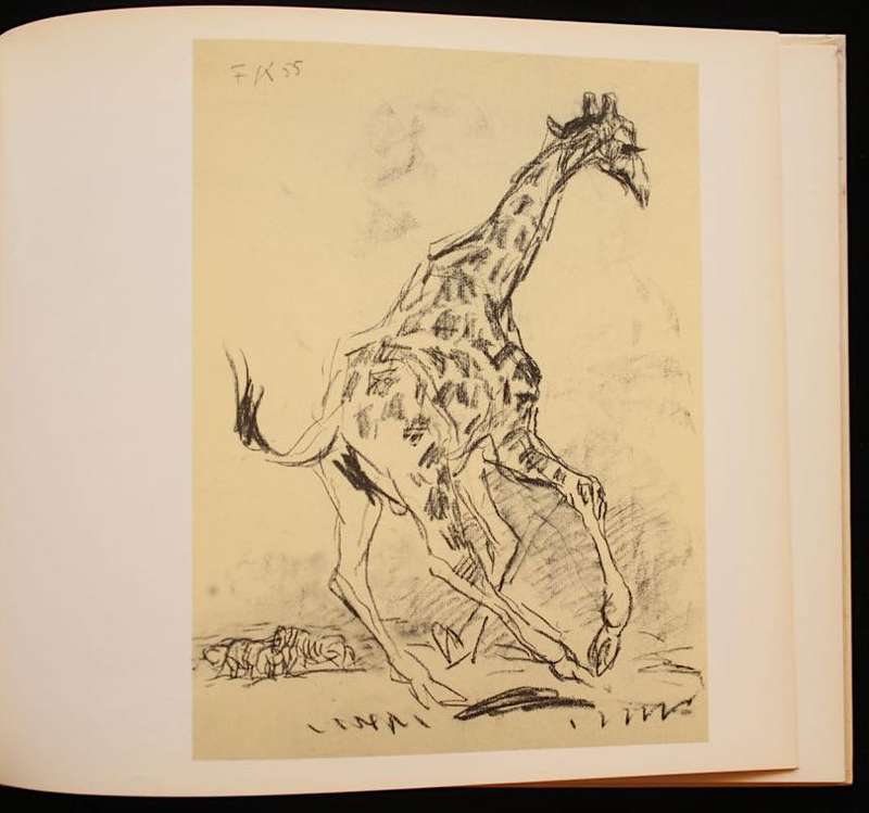 ANIMAL ART OF ETOSHA (1986)