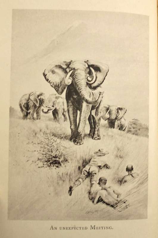 WANDERINGS AND MEMORIES by J.G. Millais (1919) - a hunting & shooting title