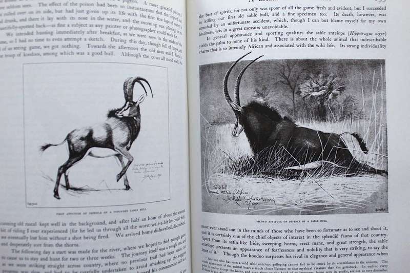 A BREATH FROM THE VELDT - J.G. MILLAIS - FACSIMILE REPRINT OF 1895 EDITION SIGNED BY EDITOR & ARTIST