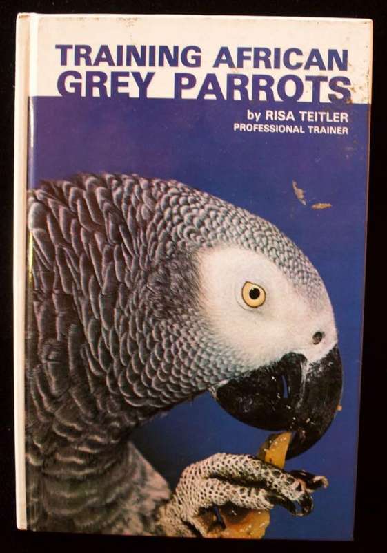 TRAINING AFRICAN GREY PARROTS - BY RISA TEITLER