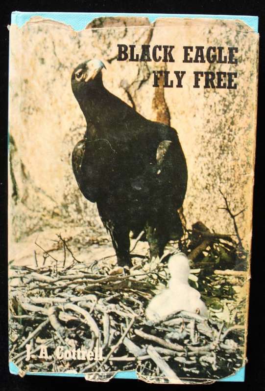 BLACK EAGLE FLY FREE - J.A. COTTRELL