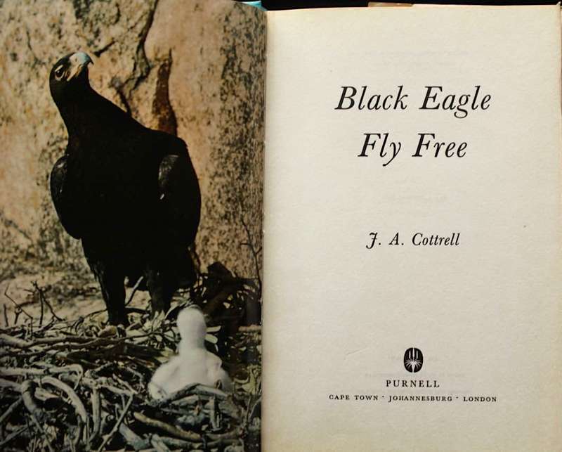BLACK EAGLE FLY FREE - J.A. COTTRELL