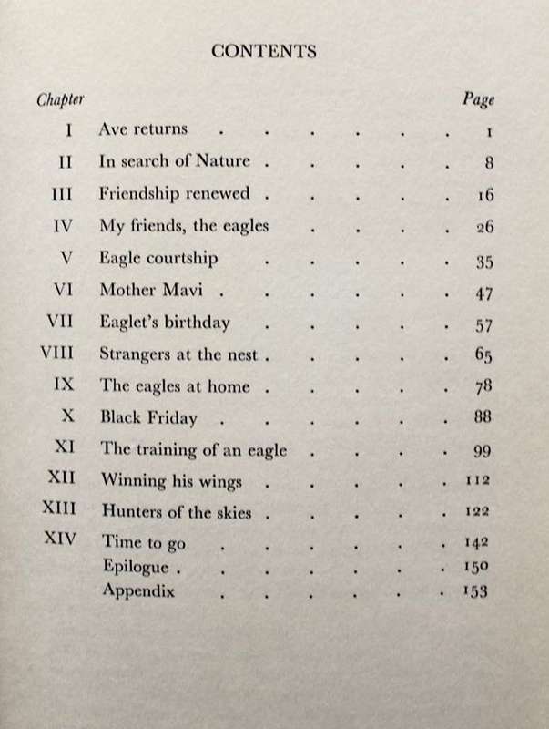 BLACK EAGLE FLY FREE - J.A. COTTRELL