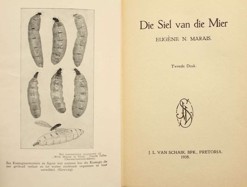 DIE SIEL VAN DIE MIER - EUGENE MARAIS - TWEEDE DRUK 1938