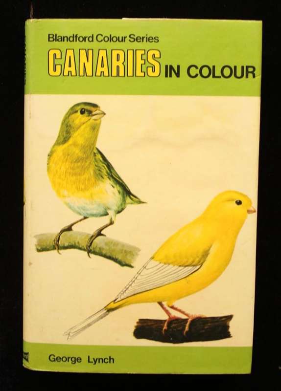 CANARIES IN COLOUR - GEORGE LYNCH