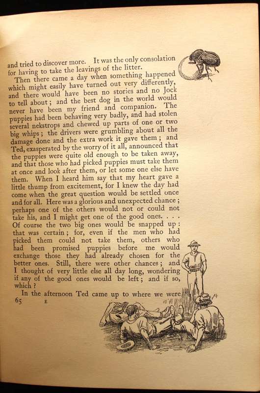 JOCK OF THE BUSHVELD by Percy Fitzpatrick 3rd. impression (1907) WITH ALL THE INCORRECT DUNG BEETLES