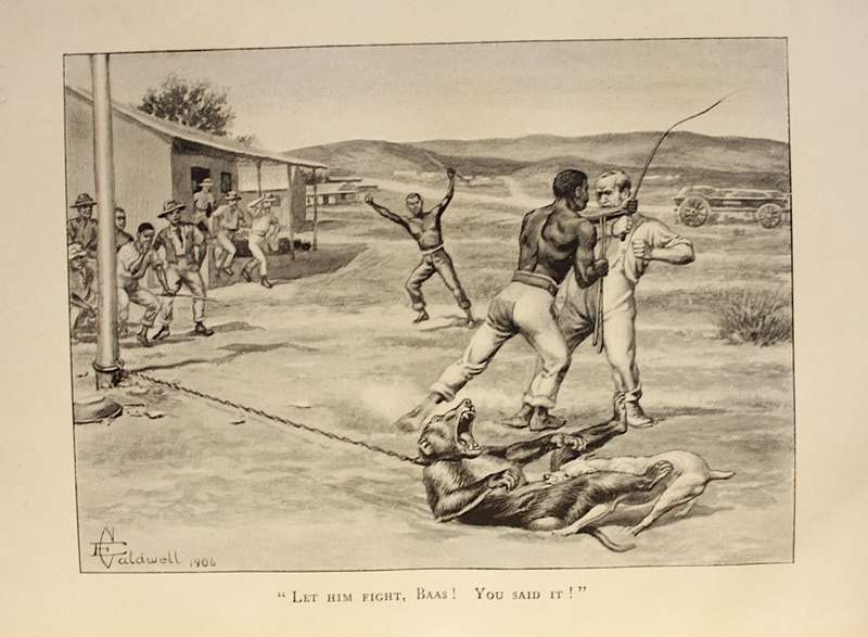 JOCK OF THE BUSHVELD by Percy Fitzpatrick 3rd. impression (1907) WITH ALL THE INCORRECT DUNG BEETLES