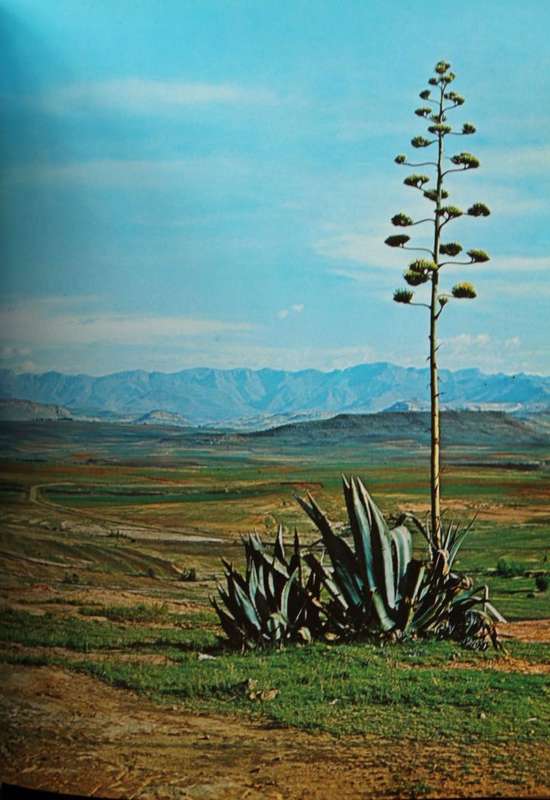 LESOTHO by Dirk & Colleen Schwager (1972) - SIGNED by both authors