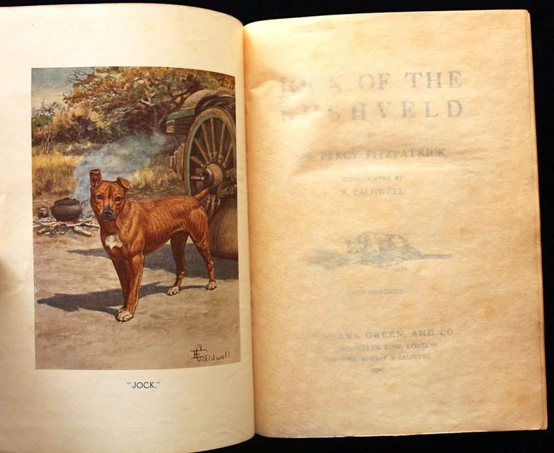 JOCK OF THE BUSHVELD by Percy Fitzpatrick 3rd. impression (1907) WITH ALL THE INCORRECT DUNG BEETLES