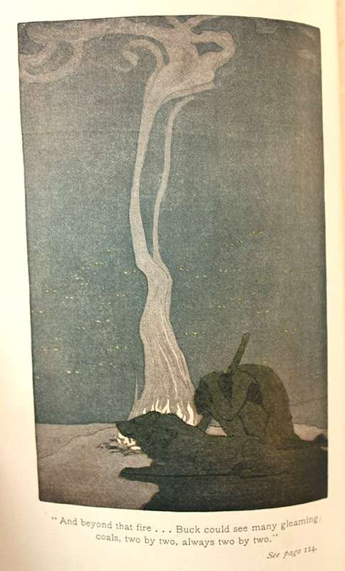 THE CALL OF THE WILD by Jack London (9th impression, 1905)
