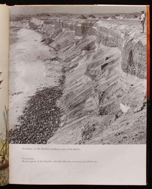 NAMIB PORTRAIT OF A DESERT - HELMUT ZUR STRASSEN (1973)