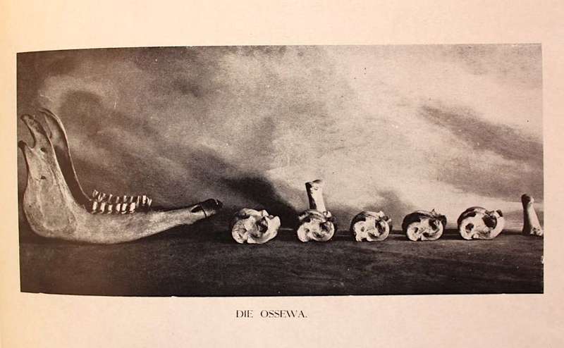 GEDENKBOEK VAN DIE OSSEWATREK 1838-1938 - D. MOSTERT (met oorspronklike glipkassie!)