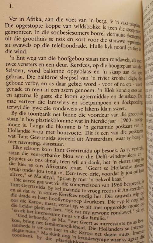 DIE GAS IN RONDAWEL WILHELMINA deur Etienne van Heerden (1995)