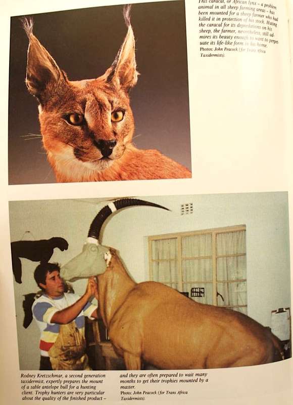 THE WILDLIFE GAME by Ron Thomson - SIGNED & INSCRIBED