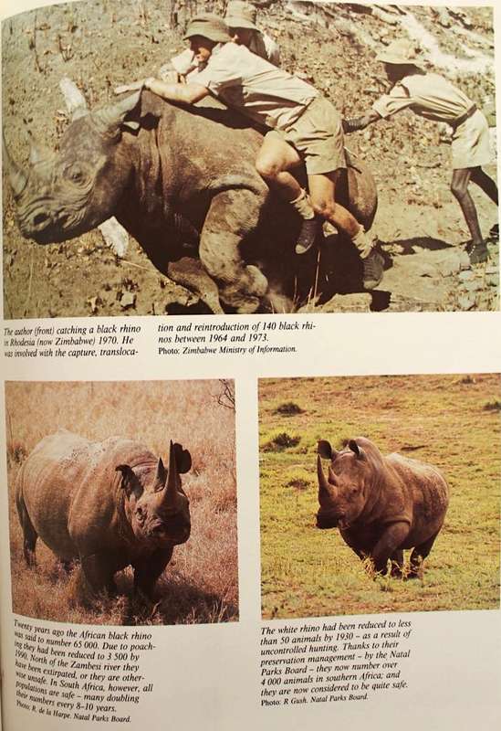 THE WILDLIFE GAME by Ron Thomson - SIGNED & INSCRIBED