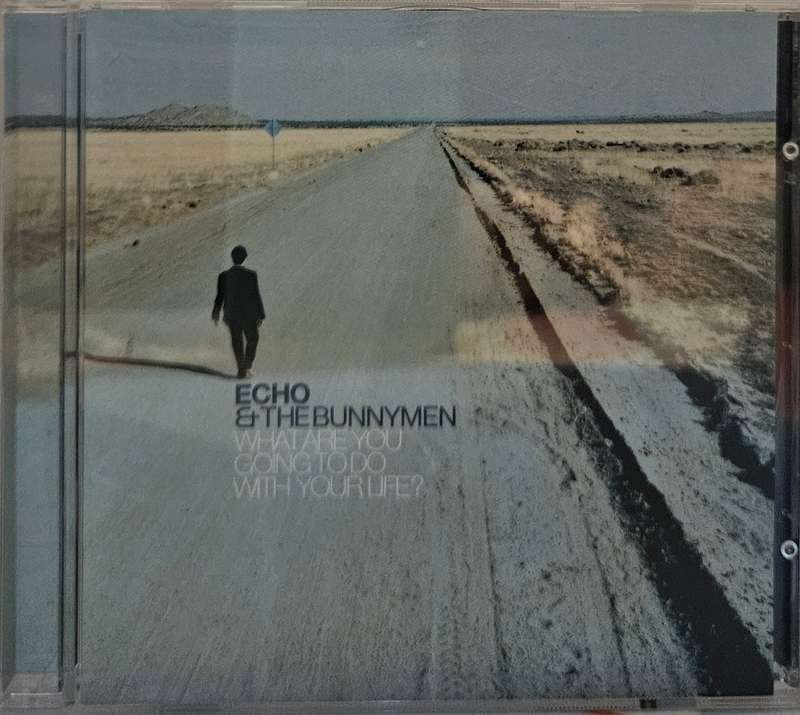 Echo & The Bunnymen  What are you going to do with your life?  (2422)