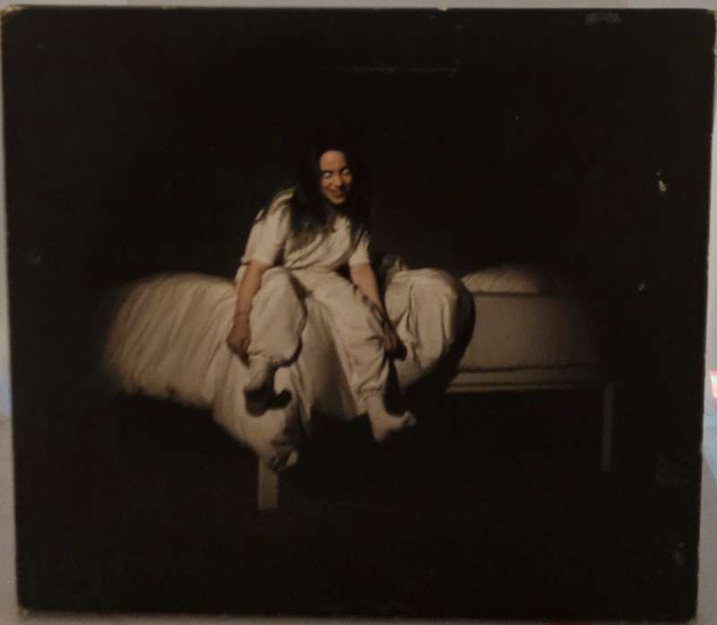 Billy Eilish When we all fall Asleep Where do we go  (2663)