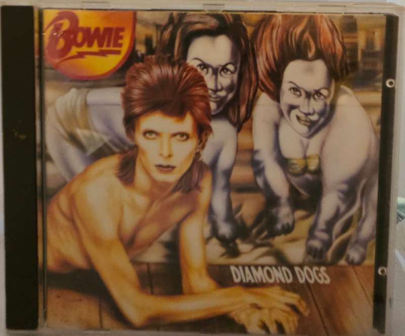 David Bowie Diamon dogs  (2787)