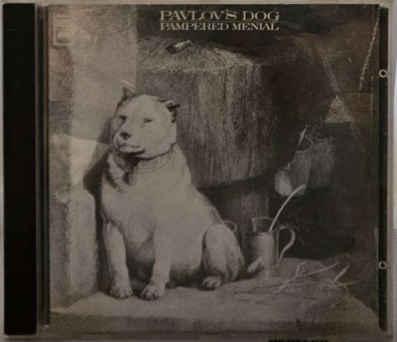 Pampered Menial Pavlov's Dog  (2670)