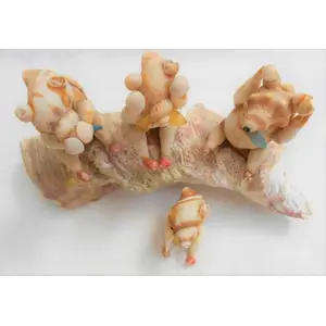 SEASHELL `SEE NO EVIL-HEAR NO EVIL-DO NOT EVIL TEDDIES ON A ROCK WITH BABY TEDDY