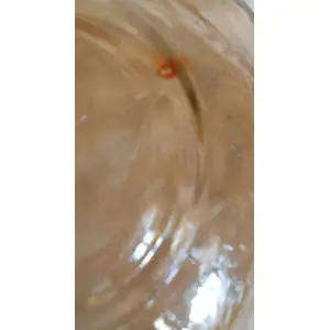 FLORA GOLD-LOUISE PATTERN LARGE 23 CM CARNIVAL GLASS BOWL (3) THIS BOWL HAS A COLOUR FLAW