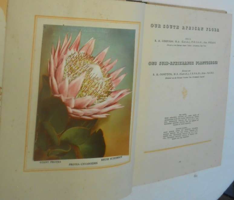 OUR SOUTH AFRICAN FLORA+BIRDS+NATIONAL PARKS- 3 CIGARETTE ALBUMS WITH ALL CARDS