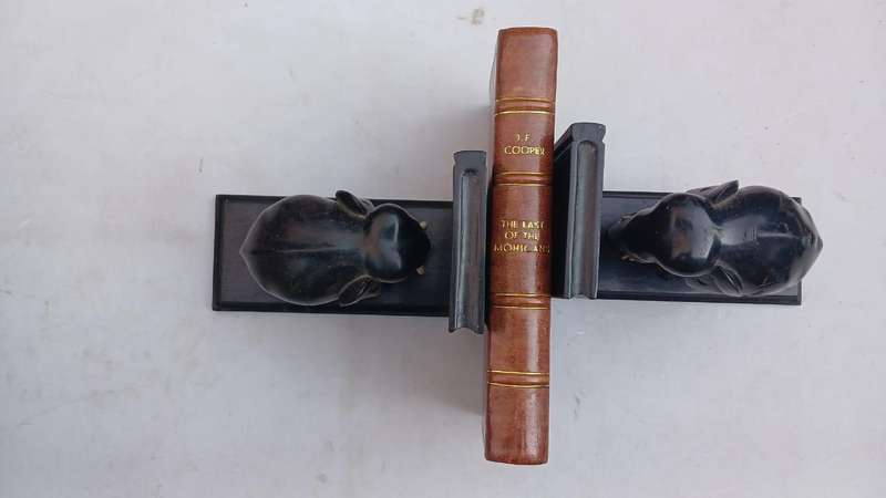The Last of the Mohicans by James Fenimore Cooper ( exquisite leather binding)
