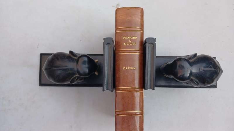 BRAZZAVILLE BEACH BY WILLIAM BOYD ( exquisite leather binding)
