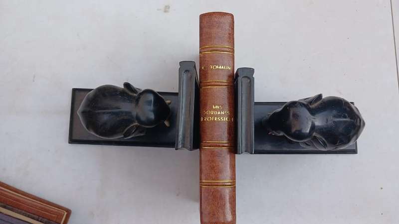 Mrs Jordan's Profession, the Actress and the Prince  ( exquisite leather binding)