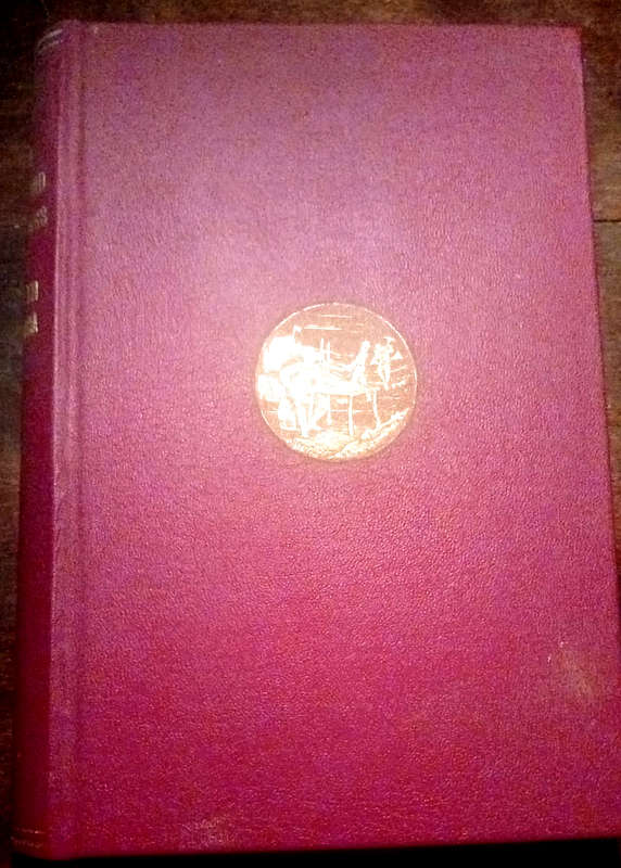 THE DIAMOND DIGGINGS OF SOUTH AFRICA (1872)