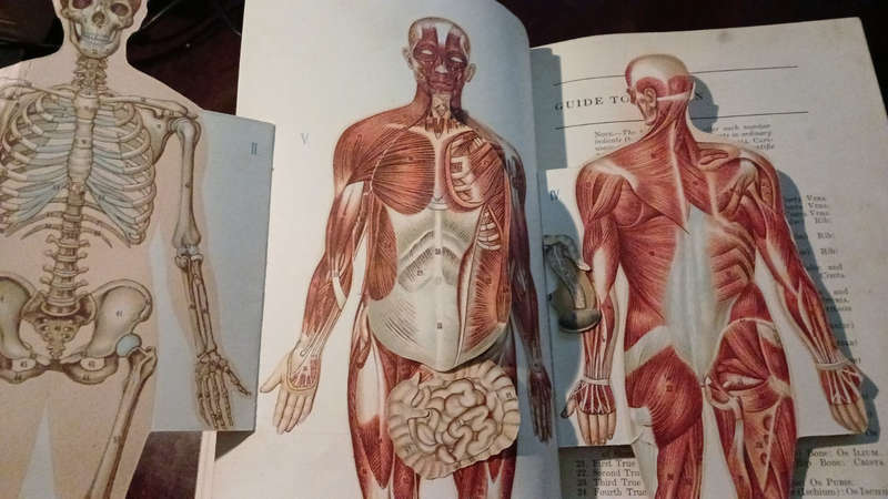 Encyclopedia Of Health And Physical Culture - eight volumes