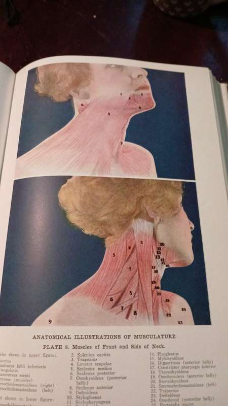 Encyclopedia Of Health And Physical Culture - eight volumes
