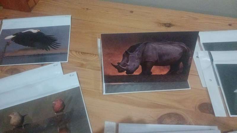 "Echoes of the Wild"  Cards