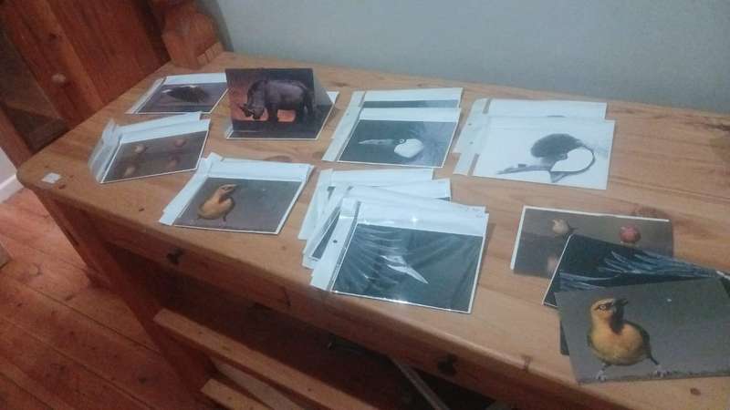 "Echoes of the Wild"  Cards