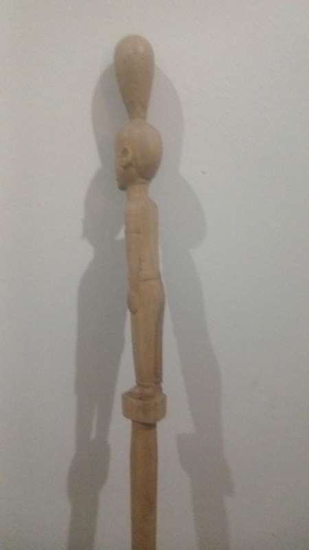 African Walking Stick