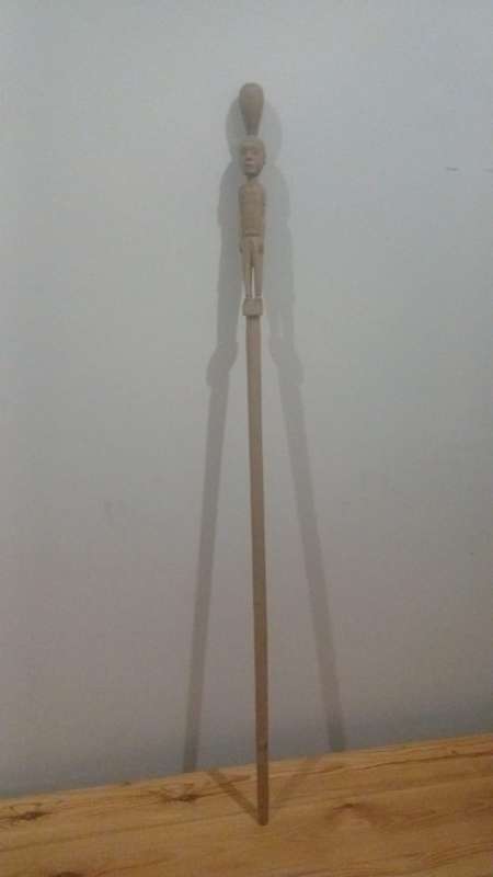 African Walking Stick