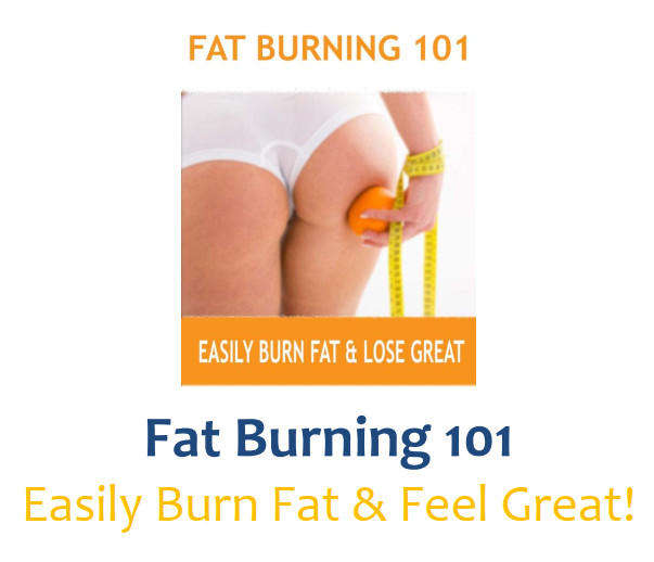Fat Burning 101 Easily Burn Fat & Feel Great eBook
