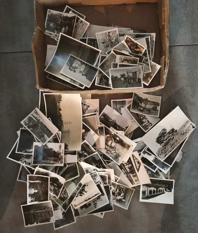 Vintage black and white photographs (1930/40s) x 145
