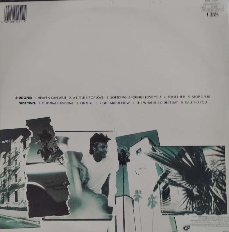 Vintage LP / Vinyl / Record - Paul Young - Other voices
